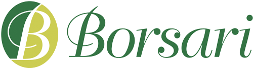 Borsari Group - Agri trading logistics